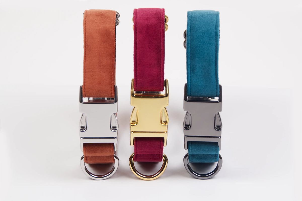Awesome Paws Hondenhalsband - Suède Velvet Oranje