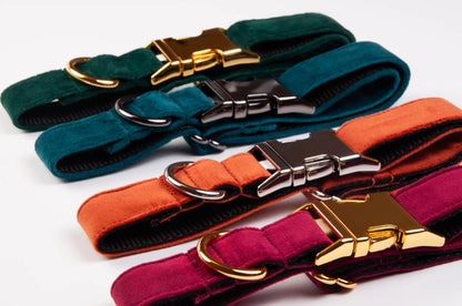 Awesome Paws Hondenhalsband - Suède Velvet Oranje