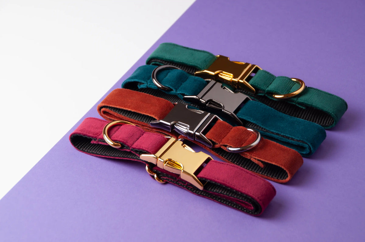 Awesome Paws Hondenhalsband - Suède Velvet Oranje