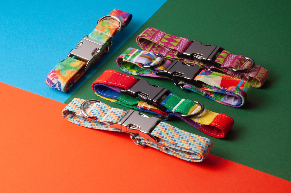 Awesome Paws Hondenhalsband - Rainbow Abstract Multicolor