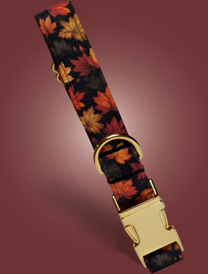 Herfst Oranje Bruin Bladeren - foto 2