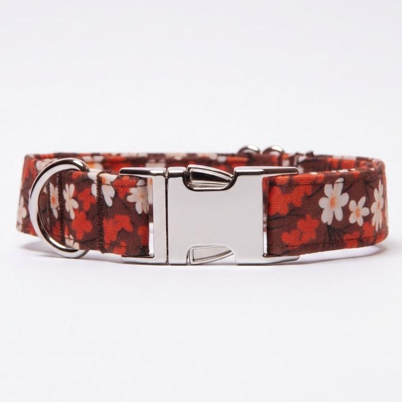 Awesome Paws Hondenhalsband - Herfst Oranje Wit Bloemen