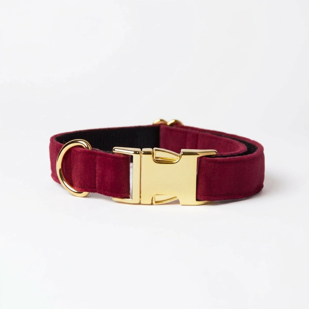 Awesome Paws Hondenhalsband - Suède Velvet Diep Rood