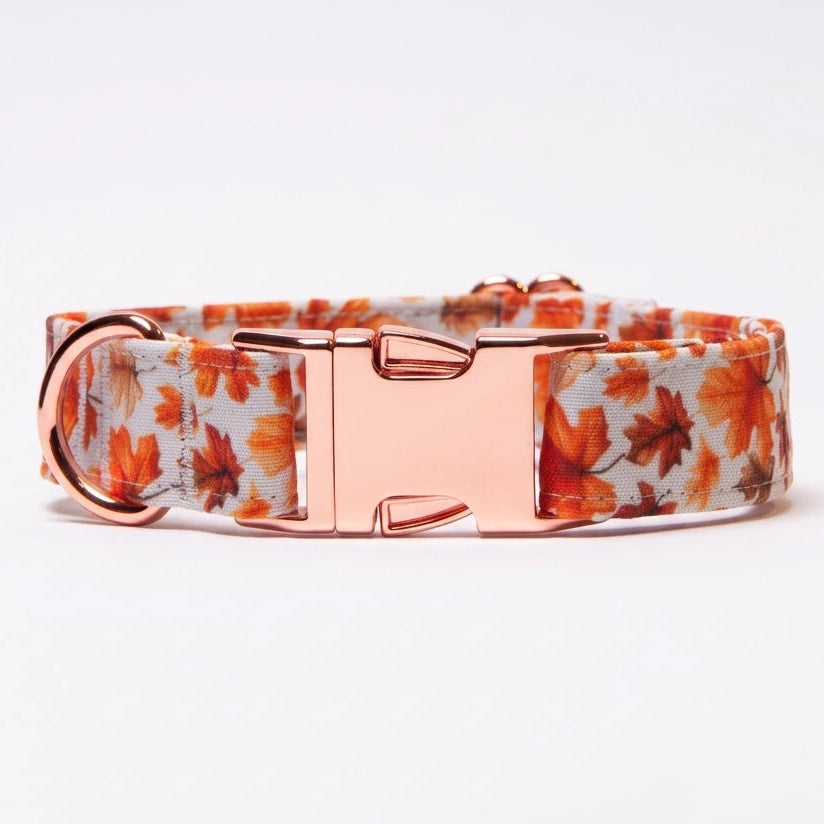 Awesome Paws Hondenhalsband - Herfst Wit Bladeren