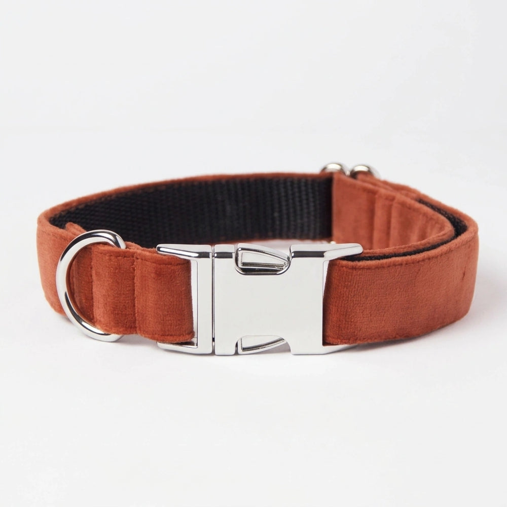 Awesome Paws Hondenhalsband - Suède Velvet Oranje