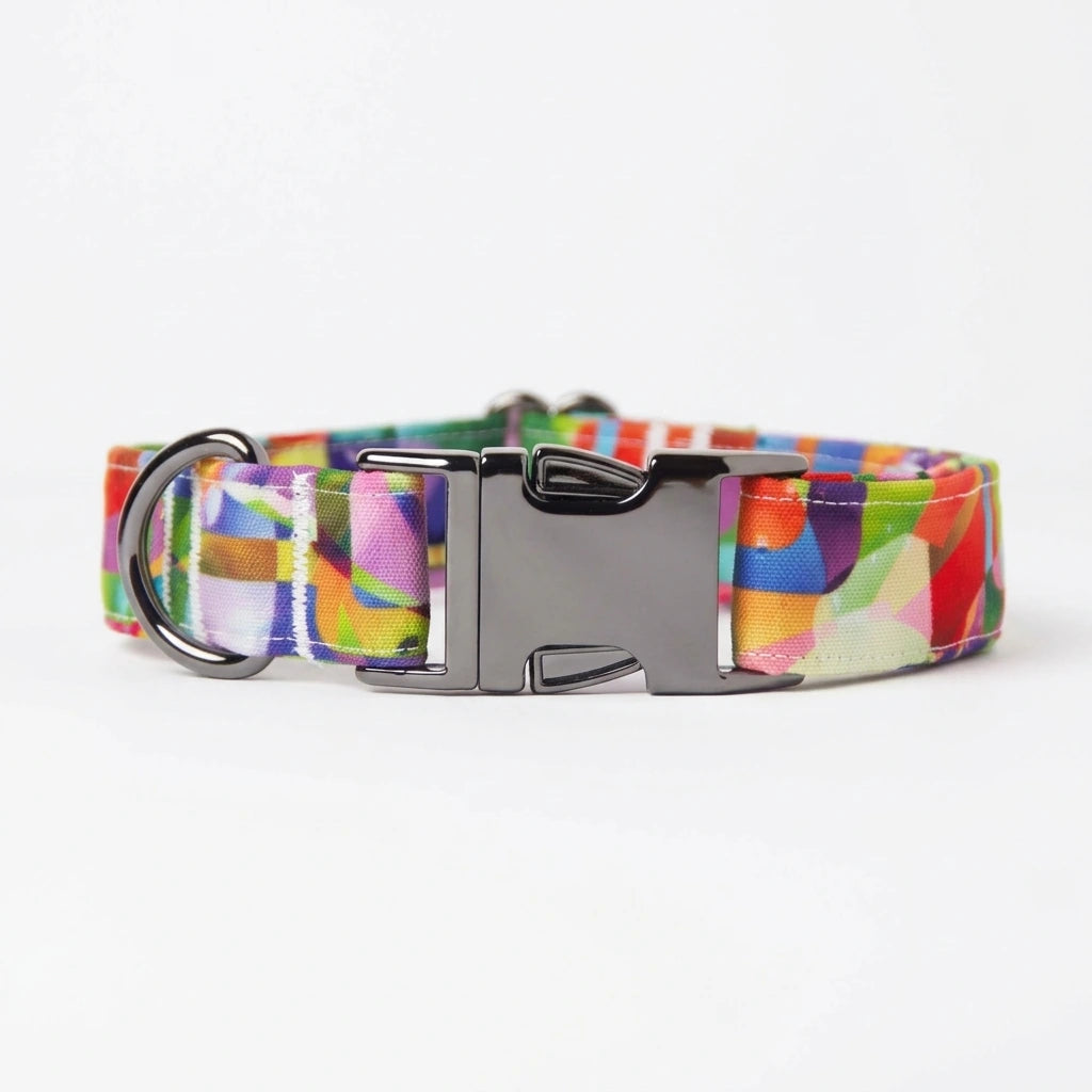 Awesome Paws Hondenhalsband - Rainbow Abstract Multicolor